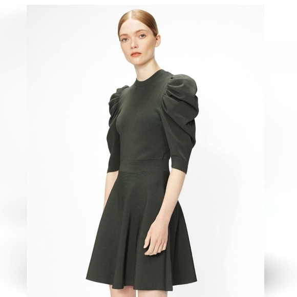 Ted Baker London Dresses & Skirts - Ted Baker LLORNA Skater dress